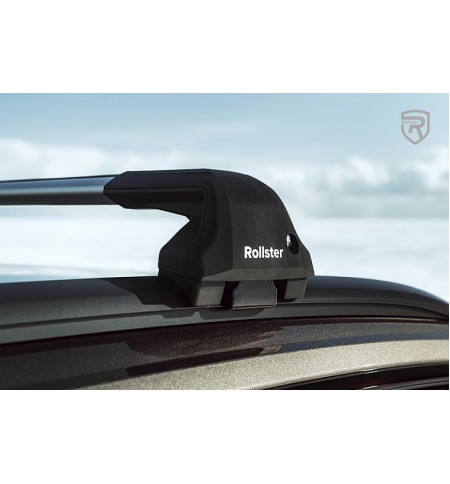Багажник Rollster на Audi A6 Avant III (C6) 2005-2010 универсал — Арт. 20524 серебро в Воронеже